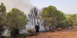 بجاية: إخماد أغلبية الحرائق