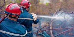 عمليات اخماد حرائق بـ 4 ولايات