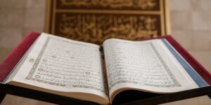 منهاج المسلم.. إنما الحياة الدنيا لعب ولهو