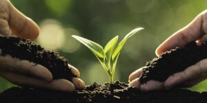 العلم والإيمان.. أَلَمْ تَرَ أَنَّ اللَّهَ أَنزَلَ مِنَ السَّمَاءِ