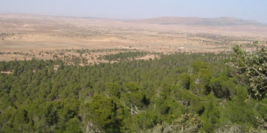 اعادة تأهيل السد الأخضر: المخطط الجديد سيحظى بـ “الأولوية”