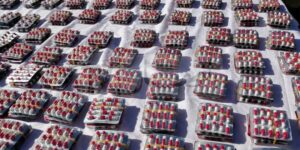 مستغانم: الإطاحة بشبكة إجرامية متخصصة في ترويج المخدرات والمؤثرات العقلية