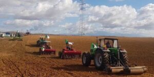 غرداية.. تخصيص أكثر من 2000 هكتار لزراعة الحبوب