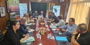 نحو ضمان تغطية تأمينية تتماشى مع احتياجات القطاع السياحي