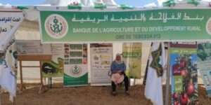 قالمة.. قرض الرفيق يستقطب منتجي الحبوب