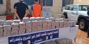 حجز قنطار “كيف” قادم من المغرب في تلمسان