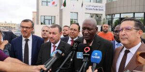 النيجر يعول على دعم الجزائر لإطلاق مشاريع طاقوية أساسية