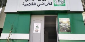 عين تموشنت.. رقمنة العقار الفلاحي من أجل تسيير القطاع برؤية واضحة