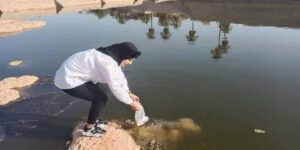 عودة ظهور قشريات المياه العذبة ببشار