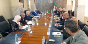 وزير الصناعة يشدد على ضرورة تطوير صناعة حقيقية للسيارات في الجزائر