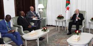 رئيس الجمهورية يستقبل رئيس البنك الإفريقي للتصدير والاستيراد