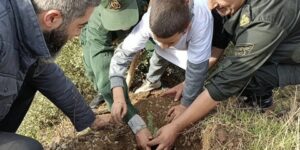 غرس2500 شتلة من صنف الأرز الأطلسي بأعالي الشريعة بالبليدة