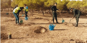 برج بوعريريج.. انطلاق الشطر الثاني من عملية إعادة تأهيل و توسعة و تطوير السد الأخضر