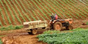 ميلة.. زيادة معتبرة في عدد الفلاحين الراغبين في  تأمين محاصيلهم