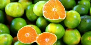 البرتقال الأخضر.. هل هو مُضر بالصحة؟