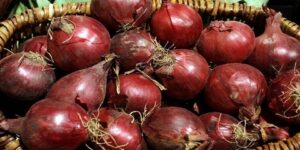 أفضل طريقة لحفظ البصل طازجاً لـ 3 أشهر