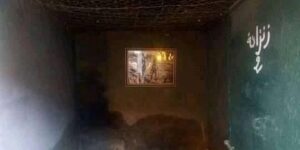 “قصر الطير”.. شاهد على صمود شعب أراد الحياة