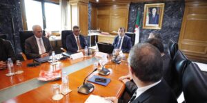 نحو بعث وإضفاء نفس جديد في تنفيذ المشاريع الكبرى في القطاع المنجمي