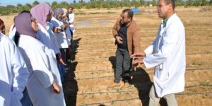 مدير المركز بالمناطق القاحلة ومحطاته.. البروفيسور كشبار يكشف: مركز البحث العلمي يعزز التعاون في مشاريع تطوير الزراعة الصحراوية