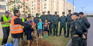 غرس شجيرات تتماشى  و المحيط الحضري ببلديات الرويبة