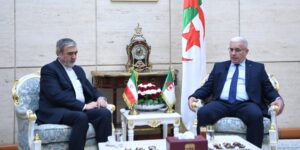 التدخلات الأجنبية لا تراعي سوى مصالحها ولا تزيد الأزمات إلا تعقيدا