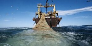 الفلاحون الاسبان يرحبون بإلغاء اتفاقيات الصيد البحري و المنتجات الزراعية بين الاتحاد الأوروبي والمغرب