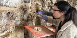 دعوة للطلبة الجزائريين إلى المشاركة في منتدى الشباب بروسيا