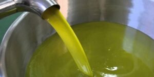 الجلفة.. تراجع طفيف في إنتاج زيت الزيتون