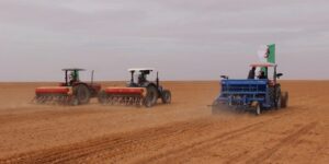 المنيعة وتيميمون.. حرث أكثر من 30 ألف هكتار وتسهيلات كبرى للمستثمرين الشباب