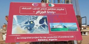 أدرار تحتضن أكبر مشروع لإنتاج الحليب المجفف بشراكة قطرية وأبقار أمريكية