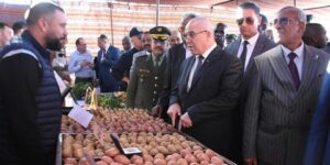 وزير الفلاحة يؤكد من المنيعة.. إعداد مخطط ثلاثي لبلوغ 3 مليون هكتار من المساحات المسقية في آفاق 2028