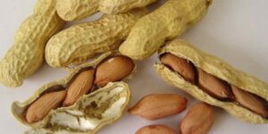 الفول السوداني.. فوائد لا تخطر على بال