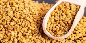 تعتبر من الأعشاب المفيدة.. الحلبة وتأثيراتها على مرضى ضغط الدم