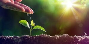 وَلَا تَعْثَوْا فِي الْأَرْضِ مُفْسِدِينَ