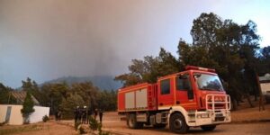 تراجع محسوس في المساحات الزراعية المتضررة من الحرائق بمعسكر