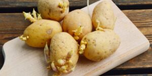 لا يجب تجاهلها.. علامات تؤكد عدم صلاحية البطاطا