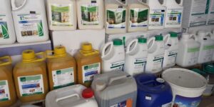 البليدة.. التخلص من 30 ألف لتر من المواد الخاصة بمكافحة الجراد