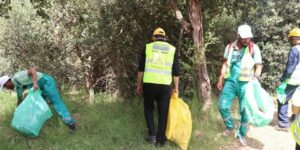 تيارت.. حملة واسعة لتنظيف الغابات الحضرية