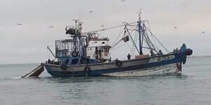 جمعية صحراوية : الاحتلال تسبب في وجود كارثة مستمرة تهدد البيئة البحرية والمصايد المحلية