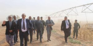 عجال.. سونلغاز ستتكفل بربط المشروع الجزائري-القطري “بلدنا” بالكهرباء قبل نهاية ديسمبر الجاري