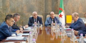 تنسيق حكومي لتطوير تخزين الحبوب