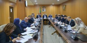 جهود برلمانية من أجل معالجة قضايا الجالية الجزائرية بالخارج