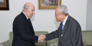 رئيس الجمهورية يستقبل الرئيس التنفيذي لمجمع ليون 