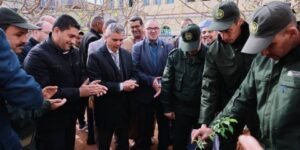 معسكر.. حملة تشجير واسعة بمحيط المساجد والزوايا والمدارس القرآنية