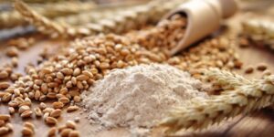 العلم والإيمان.. فوائد نخالة القمح لمرضى السكري والقلب
