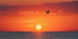 العلم والإيمان.. أَفَلَا يَرَوْنَ أَنَّا نَأْتِي الْأَرْضَ نَنْقُصُهَا مِنْ أَطْرَافِهَا