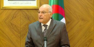 عطاف: الجزائر والكاميرون ترافعان من أجل قيام نظام دولي أكثر عدلا وأكثر إنصافا