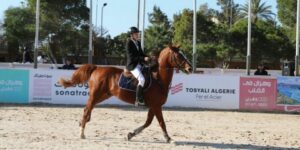 انطلاق المسابقة الدولية للحواجز هذا الخميس.. 80 فارسا في موعد وهران