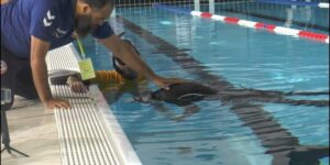 البطولة الوطنية للسباحة في اختصاص كتم النفس.. تتويج فريق جيل مونتي كارلو لوهران