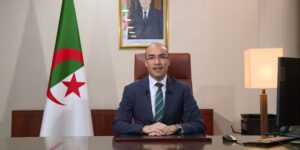 شايب يؤكد على أهمية اللغة العربية في تعزيز الهوية الوطنية ودورها في التواصل الحضاري بين الشعوب